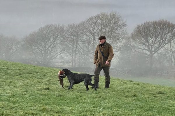 Gun Dog Training Cumbria